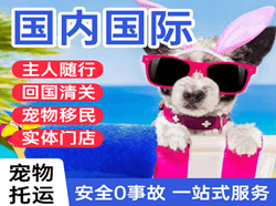 台州路桥空运地址国际宠物托运 【国